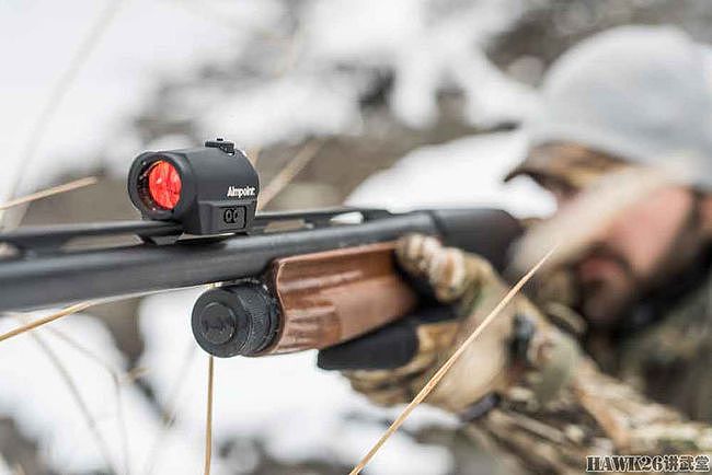 枪械专家讲解：反射式红点瞄准具是射击新手最佳的枪械配件之一 - 14