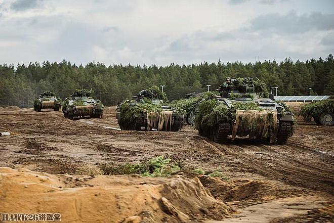 德国第413猎兵营在立陶宛参加演习 多种装甲车亮相 展示存在价值 - 1