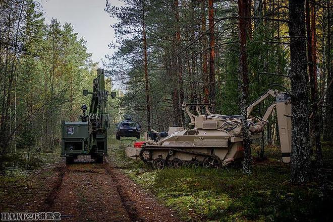 驻拉脱维亚德军第803装甲先锋营排爆演习 探地雷达搜索未爆弹药 - 2