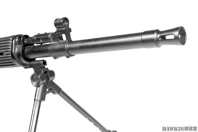 细看：俄罗斯SVDM狙击步枪 德拉贡诺夫改进型 性能得到全面提升 - 4