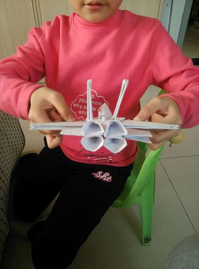 不服不行 10岁女孩“造出”舰载战斗机F-14“雄猫” - 10
