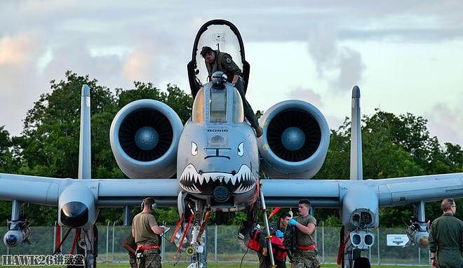 美军A-10攻击机在波多黎各参加演习 唯一采用“飞虎队”纪念涂装 - 11