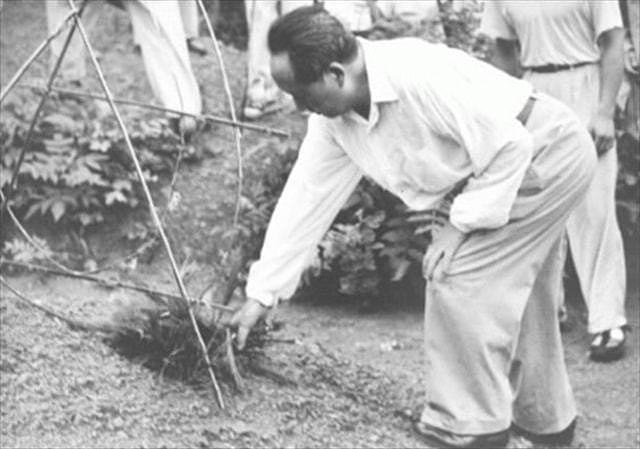 1966年，毛主席在湖南滴水洞与世隔绝11天，期间发生了什么？ - 2