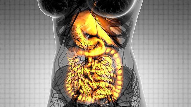 消化器官只有肠胃道？其实不止，这3个部位也都属于消化器官 - 2
