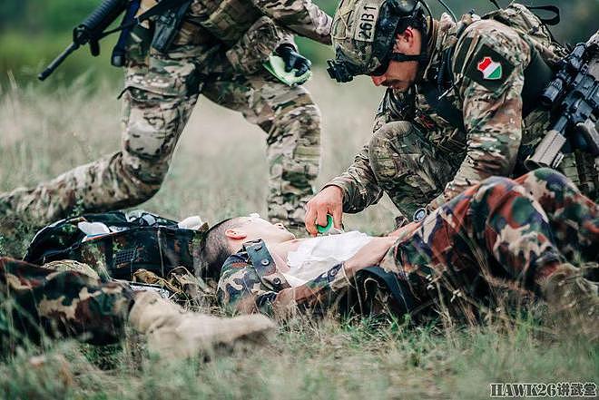 匈牙利“豺狼洞穴”联合演习 特种部队救援迫降机组 拯救战友生命 - 14