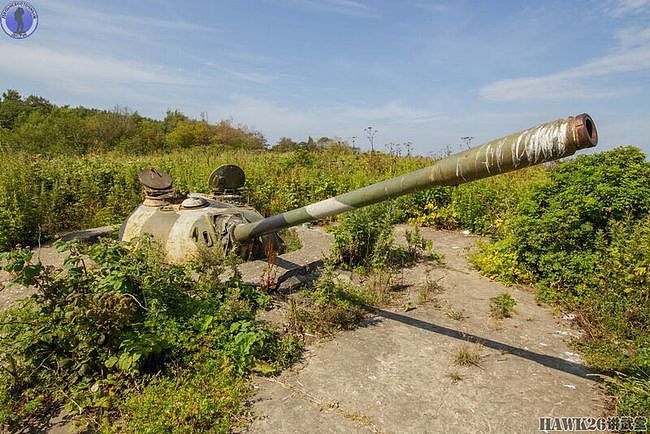 库页岛的最后防线：T-54坦克炮塔构筑炮兵阵地 如今已变成了废铁 - 7