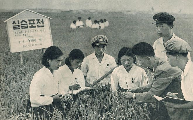 1978年邓小平访朝后立即改革开放，问其原因：越看越觉得我们落后 - 6