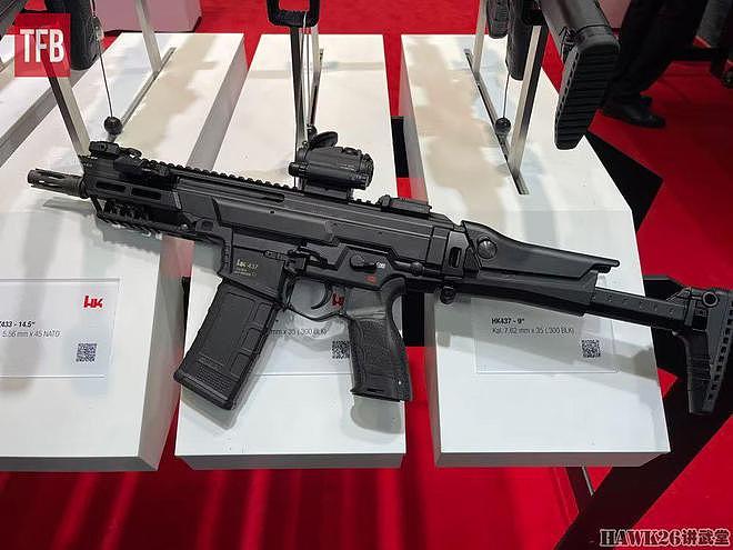 黑克勒-科赫HK437步枪 口径.300 BLK 瞄准执法部门微声武器需求 - 3