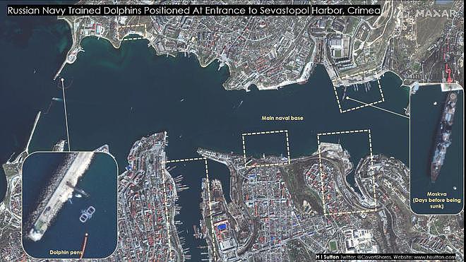 卫星照片分析：俄军部署海豚保护黑海军事基地内的船舰 - 1