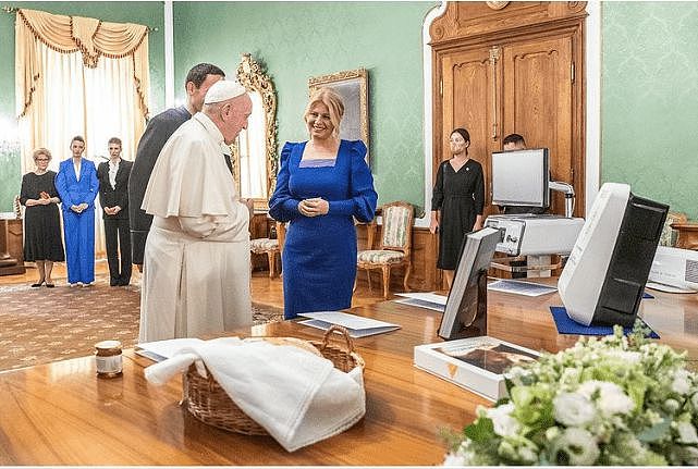 48岁斯洛伐克美女总统接待罗马教皇！泡泡袖蓝裙太惊艳，有富态感 - 7