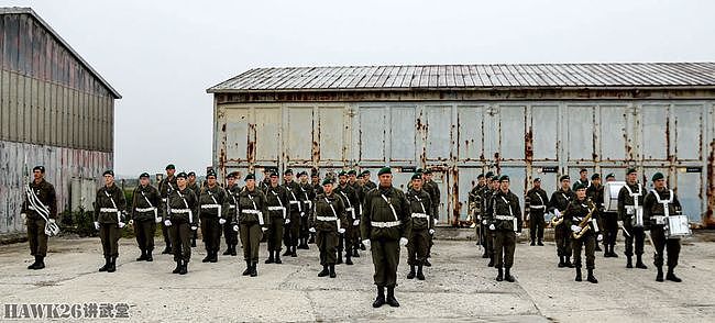 奥地利第4装甲掷弹兵旅举行换装仪式 接收迷彩服 告别单色作训服 - 8