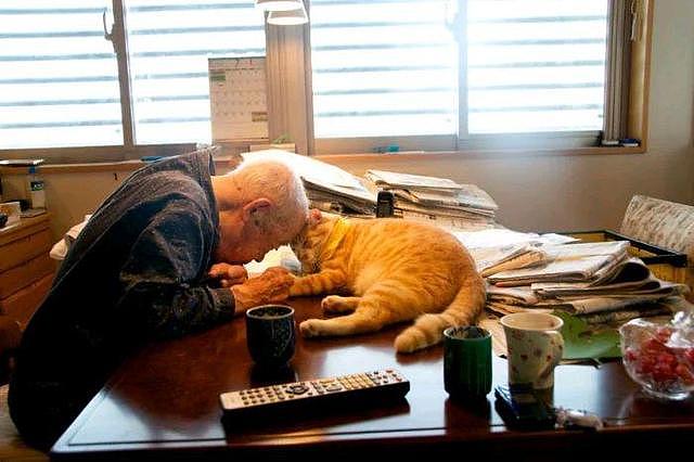 94岁爷爷患有易怒症，家人不敢同住，唯独“橘猫”能把他降服！ - 2