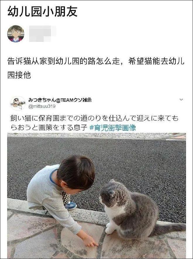 小朋友耐心教猫咪认路，想让猫去幼儿园接他！ - 1