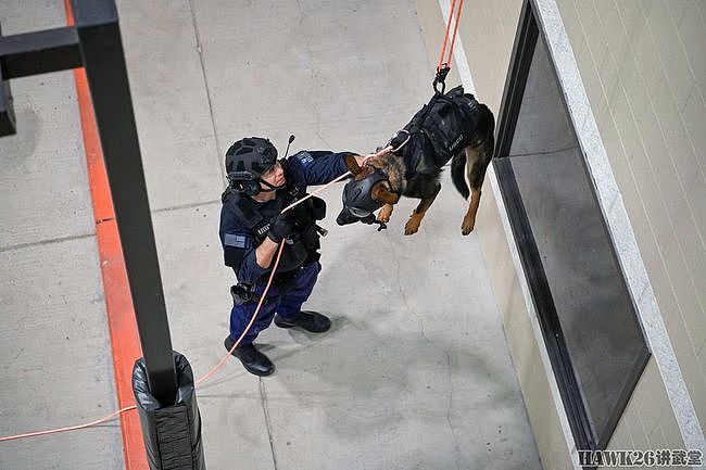 军犬为何被一次次吊起？即将进行直升机搭乘训练 还需要循序渐进 - 3