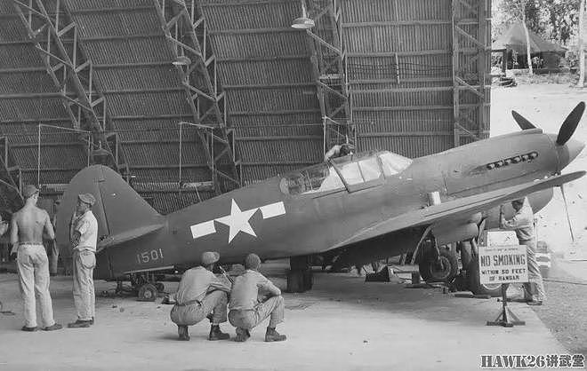 P-40战斗机在北非两次俯冲 却成就了刺杀希特勒 战争中的蝴蝶效应 - 7