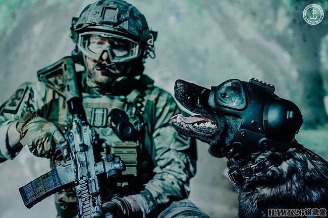波兰陆军JWK特种部队发布最新宣传照 军犬成主角“武装到狗头” - 8