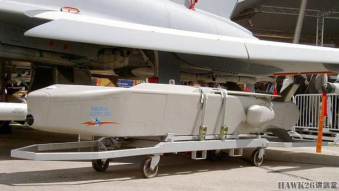 德国议会否决向乌克兰提供“金牛座”巡航导弹 法国宣布追加军援 - 10