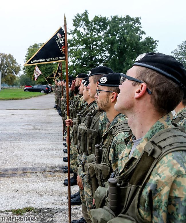 奥地利第4装甲掷弹兵旅举行换装仪式 接收迷彩服 告别单色作训服 - 15