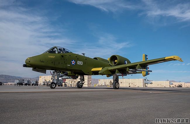 A-10特殊古典涂装亮相 纪念马里兰州空军国民警卫队成立100周年 - 8