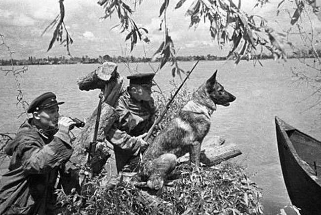 苏德战争第一天的苏军悲歌，边防军孤军奋战，援军难至国境线 - 3