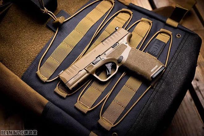 斯普林费尔德兵工厂公司“地狱猫Pro”FDE 新推出的理想自卫手枪 - 3