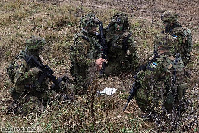 在乌克兰作战的“志愿战士”返回爱沙尼亚 培训本国军队改进战术 - 9