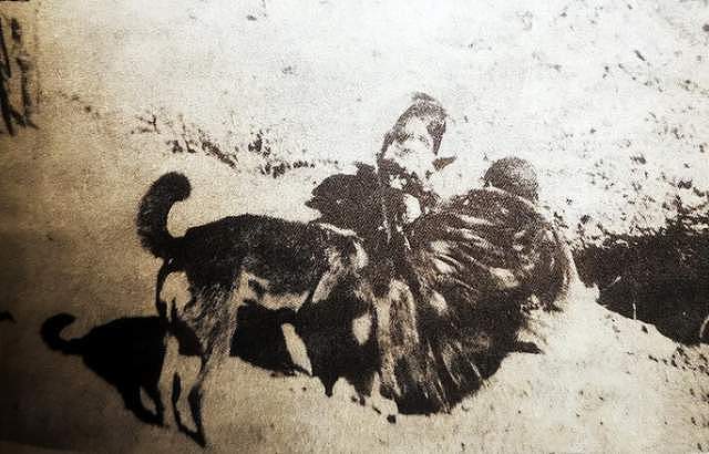 1945年，两个日本兵被俘后，说出了日本军犬吃人的往事 - 6