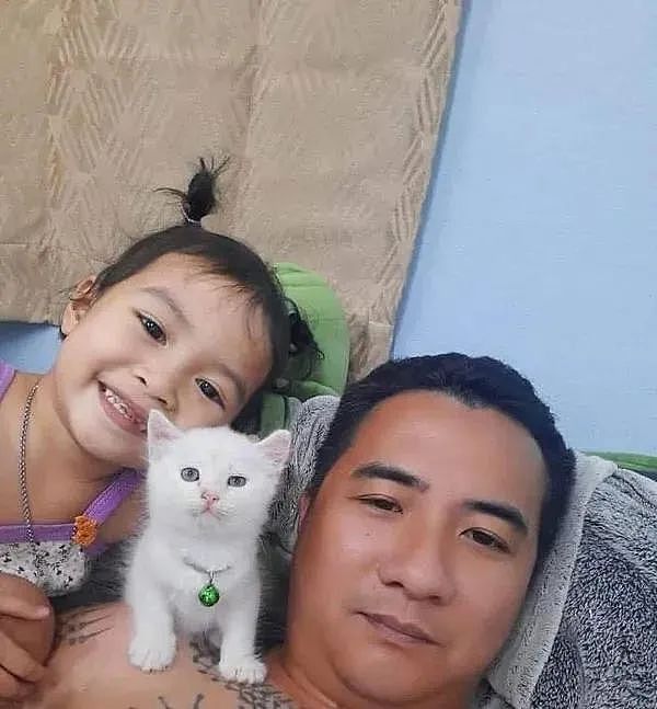 爸爸给女儿养了一只猫，本想陪着一起长大，然鹅两年后... - 1