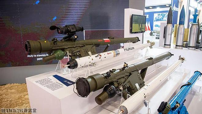 波兰第30届国际防务展览会 正值俄乌冲突 土耳其无人机成为明星 - 31