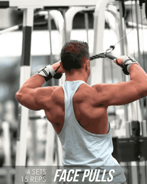 如何锻炼三角肌后束？4个动作每周练2次，提升肩部肌肉立体感 - 5