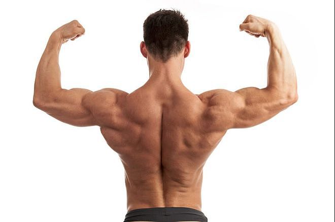 新人如何高效练背？3个步骤7个动作，打造强壮有力的背部肌肉 - 16