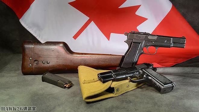西格绍尔展示两支特殊手枪 连续拿下澳大利亚加拿大订单 傲视群雄 - 6