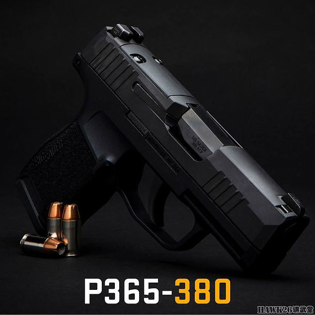 西格绍尔P365-380微型手枪 新弹药威力提升 为用户带来更多选择 - 8