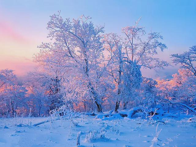 罗隐这首《雪》，无一“雪”字，却把雪景写得细腻逼真 - 2