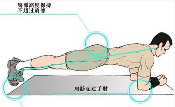 平板支撑是腹部基础训练，练出的不仅是马甲线，还有7个实在好处 - 4