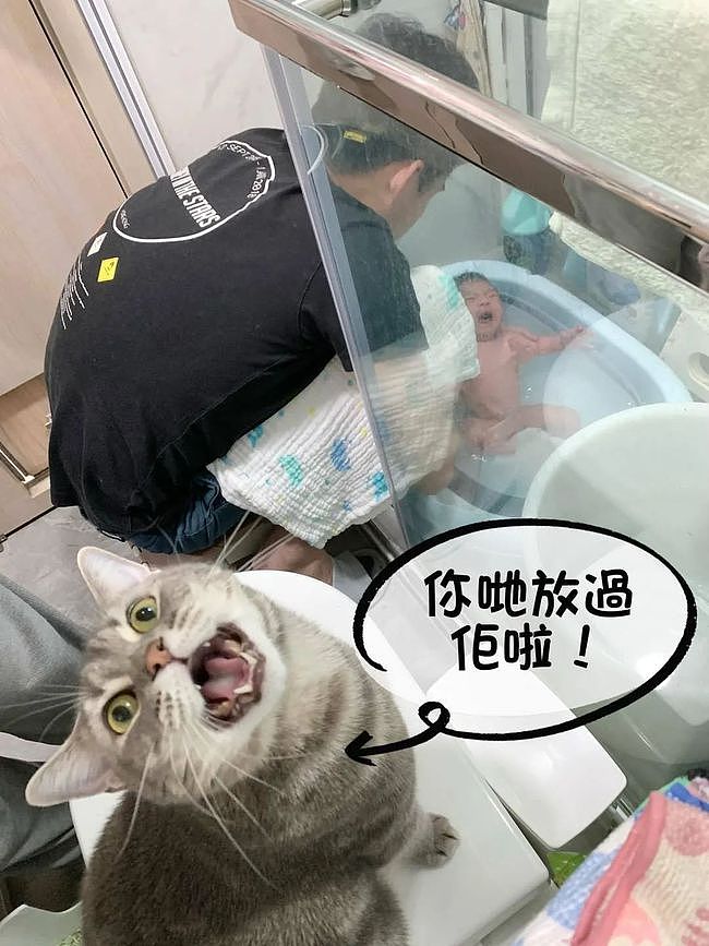给宝宝洗澡时，猫咪在边上着急地嗷嗷叫，结果...笑裂哈哈哈！ - 3