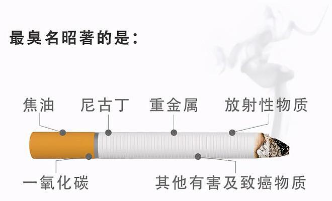 吸烟不会影响寿命？为何有人烟不离手很长寿，有人从不吸烟却短命 - 2