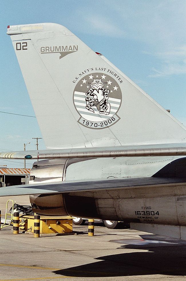 图记美国海军F-14“雄猫”舰载机2006年退役仪式现场 - 6