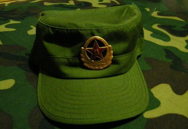 解放军74年的帽徽变迁史 - 28