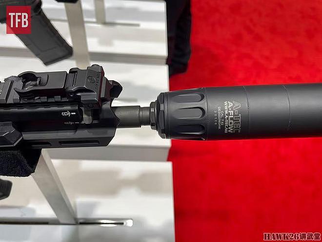 黑克勒-科赫HK437步枪 口径.300 BLK 瞄准执法部门微声武器需求 - 14