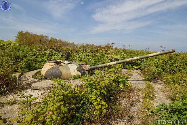 库页岛的最后防线：T-54坦克炮塔构筑炮兵阵地 如今已变成了废铁 - 62