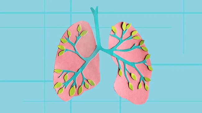 秋季养肺护肺很重要，但肺有“4怕”，需要尽量避免，你知道吗？ - 2