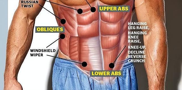 “下腹部”才是腹肌真水准！但你可能95%时间都没练到它 - 1