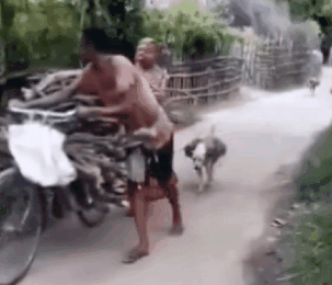 搞笑图片：浙江男子骑摩托去安徽偷鸡，审判时公诉人捂脸憋笑 - 15