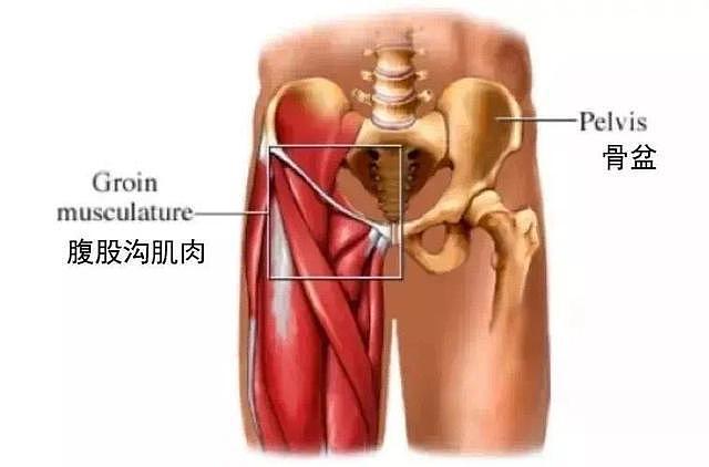 5个动作打开腹股沟，女性和大腿内侧有小疙瘩的人更要多练 - 2