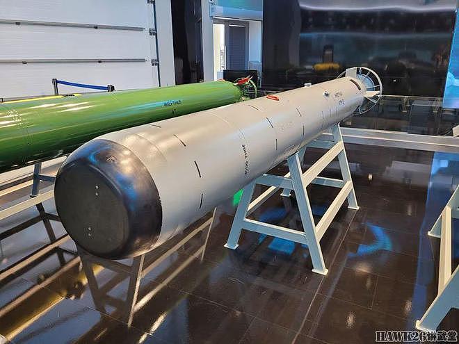 “军队2023”国际军事技术论坛开幕 俄罗斯战术导弹公司秀大杀器 - 15