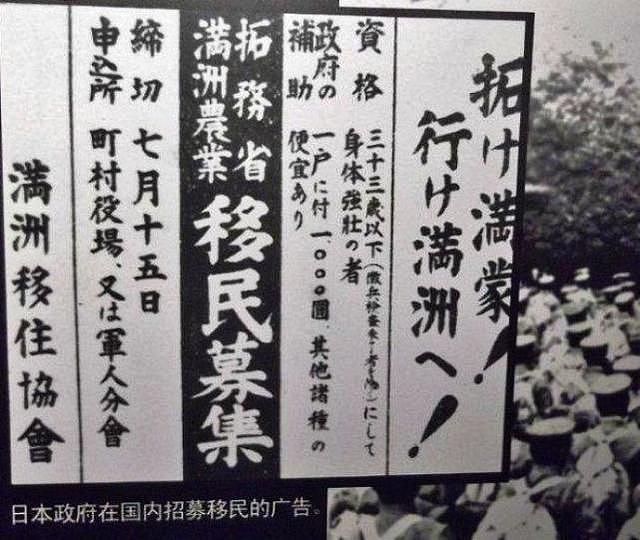 日本开拓团到中国却不种地？1941年4月13日《日苏中立条约》签订 - 3