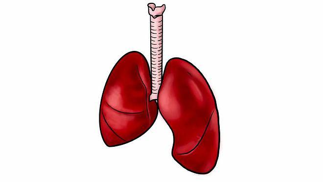 肺气虚弱且经常咳嗽是怎么回事？吃哪些食物，可以缓解这种症状？ - 1