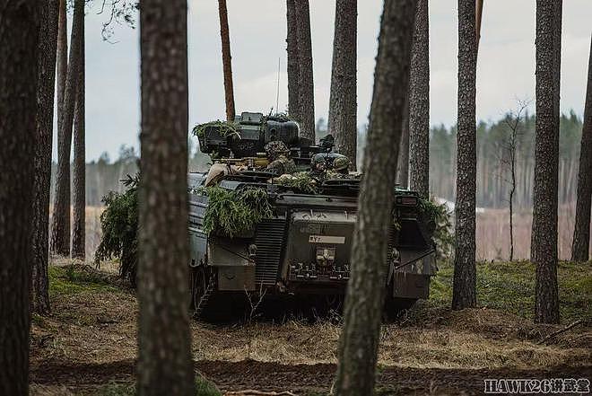 德国第413猎兵营在立陶宛参加演习 多种装甲车亮相 展示存在价值 - 3