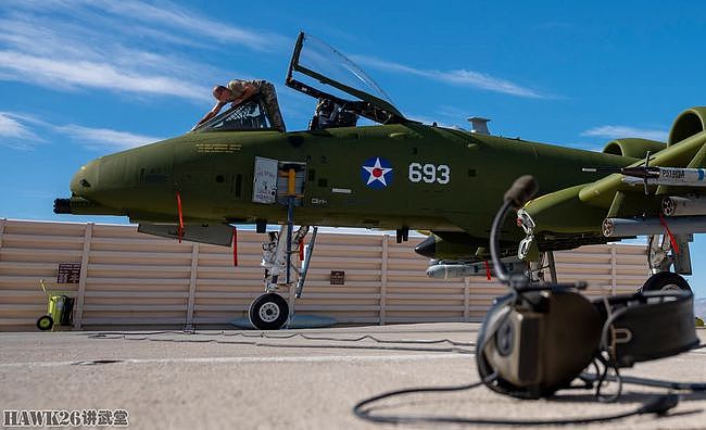 A-10特殊古典涂装亮相 纪念马里兰州空军国民警卫队成立100周年 - 3